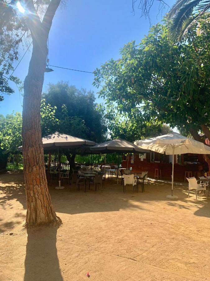 Glp Cabo Beach Alicante Eksteriør billede